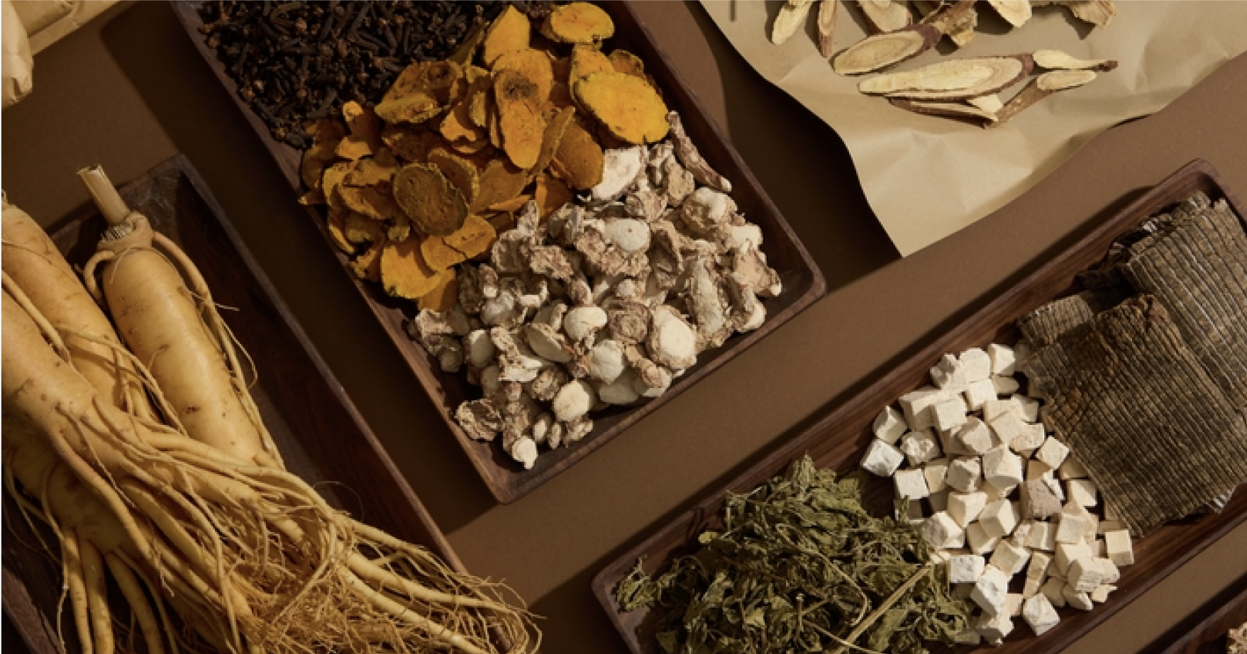 Trays filled with an assortment of herbs and spices, highlighting their diverse shapes and vibrant hues